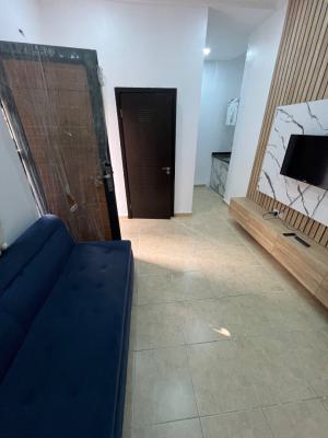 Partly Furnished and Fully Serviced Room & Parlour in Osapa London, Osapa, Lekki, Lagos, Mini Flat (room and Parlour) for Rent