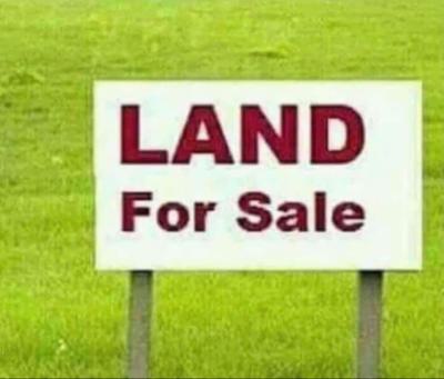100.68 Hectares, Maitama District, Abuja, Mixed-use Land for Sale