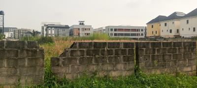 Join Venture, Freedom Way, Lekki Phase 1, Lekki, Lagos, Land Joint Venture