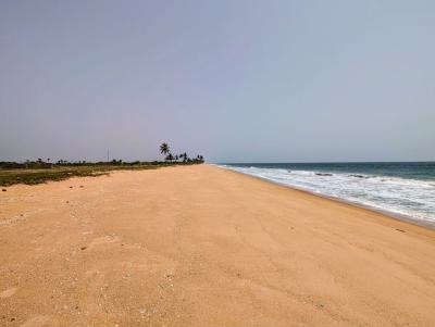 Atlantic Oceanfront 20,000sqm with C of O, Beside La Campagne Tropicana Resort, Otolu, Ibeju Lekki, Lagos, Land for Sale