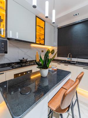 Captivating & Fully Furnished 2 Bedroom Apartment, Ikate, Lekki, Lagos, Flat / Apartment for Sale