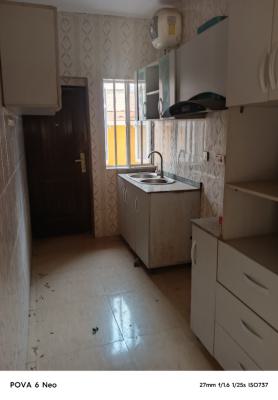 Luxury and Executive 3 Bedroom, All Ensuit  and Brand New, Off Randle Avenue, Surulere, Lagos, Flat / Apartment for Rent