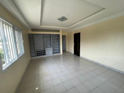 Luxury 2 Bedrooms Apartment, Victoria Island (vi), Lagos, Flat / Apartment for Rent