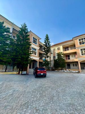 Luxury 3 Bedrooms Spacious & Serviced Apartment,bq, Balcony, Serene & Well Secured Neighborhood, Jabi, Abuja, Flat / Apartment for Rent