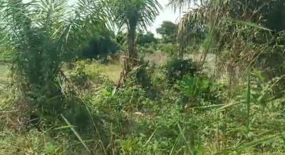 Investment Opportunity 1,600 Sqm of Dryland, Located in Ajayi Apata New Town By Fara Park Estate, Sangotedo, Ajah, Lagos, Residential Land for Sale