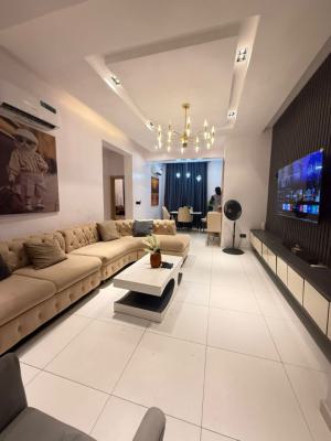 2-bedroom Flat.furnished Apartment Ikate Lekki Lagos, Ikate, Lekki, Lagos, Flat / Apartment for Rent