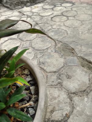 Well Located 1,254.31sqm Dry Bare Land, Katampe, Abuja, Land for Sale