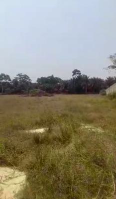 One Acre of Land, Just By Marjek Behind The New Mega Chicken Ongoing Project, Sangotedo, Ajah, Lagos, Mixed-use Land for Sale