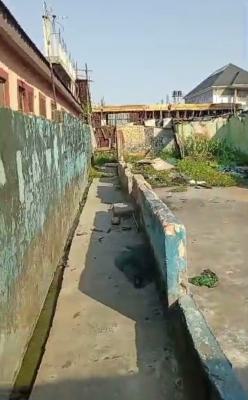 Massive Half Plot of Land, Ijeshatedo, Surulere, Lagos, Mixed-use Land for Sale