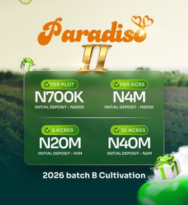 Farmland Up for Grabs, Ifo, Ogun, Mixed-use Land for Sale