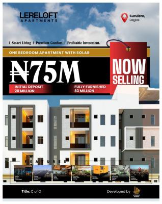 Hot Deal! Make Up to 16m Yearly Revenue in The Perfect Market Location, Few Minutes Away From The Lagos National Stadium, Aguda, Surulere, Lagos, Flat / Apartment for Sale