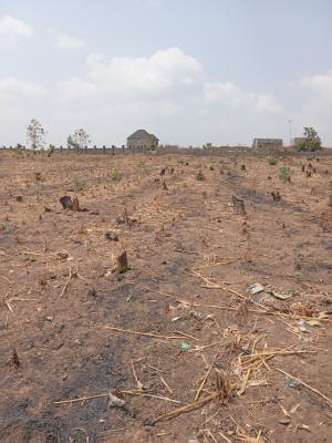 Standard Rank Mega City Estate, Back of Fha After Gilmore Yard Guzape2, Guzape District, Abuja, Residential Land for Sale