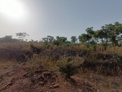 Mixed Use Land, Maitama 2, Maitama District, Abuja, Mixed-use Land for Sale