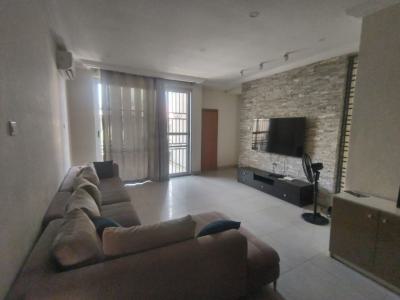 Newly Furnished 3 Bedroom Apartment with  Bq, Spg Road, Ologolo, Lekki, Lagos, Flat / Apartment for Rent