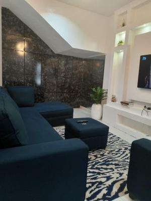 Hot Miniflat Furnished Ready to Move in, Can Also Be Used As Buisness, Lekki Phase 1, Lekki, Lagos, Mini Flat (room and Parlour) for Rent