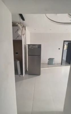 Modern and Serviced  2 Bedroom Penthouse Apartment { Video}, Ologolo, Lekki, Lagos, Flat / Apartment for Rent