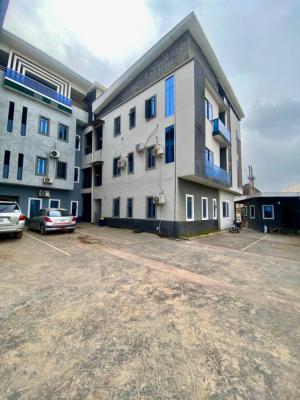 Luxury and Spacious, Lekki Scheme 2, Ajah, Lagos, Flat / Apartment for Rent