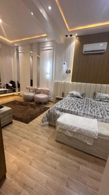 Fully Furnished Studio Apartment in Surulere, Surulere, Lagos, Self Contain (single Rooms) for Sale