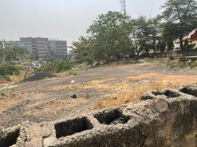 Commercial Land, Bolton White Hotel, Garki, Abuja, Land for Sale