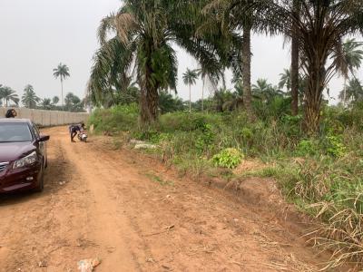 Three Plots of Land, Omagwa Near Port Harcourt, Port Harcourt, Rivers, Mixed-use Land for Sale