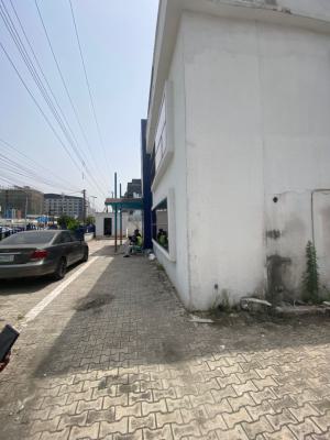 a Fully Detached Corner Piece House for Commercial Use., Ikoyi, Lagos, Detached Duplex for Rent