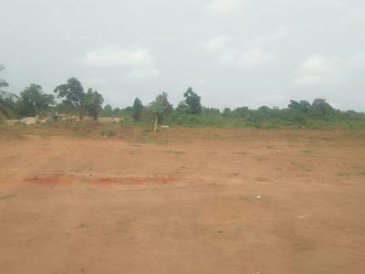 Land in Serene Environment with Free Documentation, Emirates Park and Garden Estate, Mowe Ofada, Ogun, Residential Land for Sale