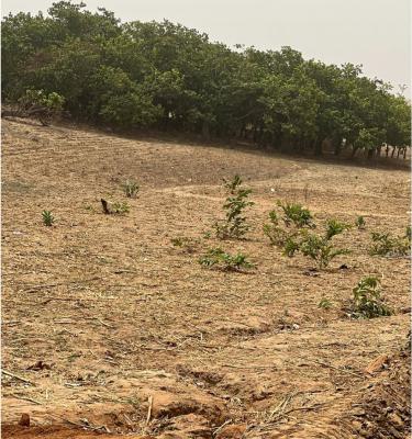 Apo By African Medical Centre of Excellence Residential Estate Land, By Amce, Apo, Abuja, Residential Land for Sale