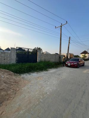 300 Sqm  Land, Goodnews Estate, Sangotedo, Ajah, Lagos, Residential Land for Sale