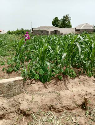 1125sqm of Land in a Serene Environment, Olu Holloway Drive, Old Ikoyi, Ikoyi, Lagos, Mixed-use Land for Sale