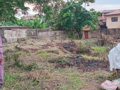 568sqm of Land in a Gated Estate, Alhaji Kamoru Ajao, Magodo, Lagos, Residential Land for Sale