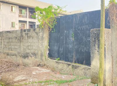 669sqm Sandfilled Land Already Fenced and Gated at Farmville Estate, Farmville Estate Sangotedo, Sangotedo, Ajah, Lagos, Land for Sale