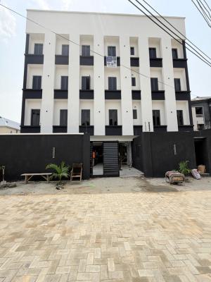 a Well Crafted 2 Bedroom Apartment in Ikate, Ikate, Ikate, Lekki, Lagos, Block of Flats for Sale