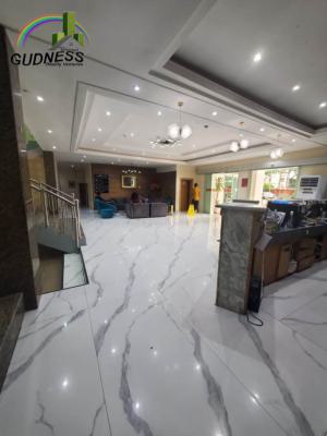 82 Rooms  Hotel Fully Functioning with Full Activities., Lekki Phase 1, Lekki, Lagos, Hotel / Guest House for Sale