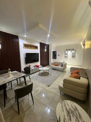 Nice 2-bedroom Fully Furnished Apartment with Ample Parking, Banana Island, Ikoyi, Lagos, Flat / Apartment for Rent