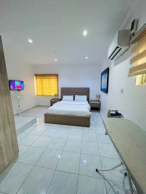 Fully Furnished 2 Bedroom Apartment, Parkview, Ikoyi, Lagos, Flat / Apartment for Rent