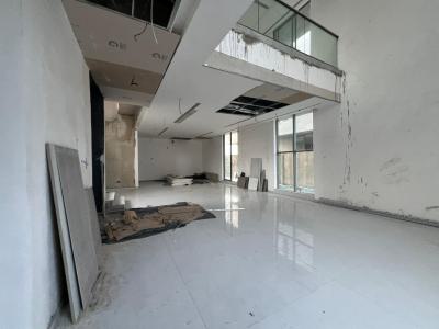 Newly Built 5bedroom Detached Duplex, Off Gerrard Road, Ikoyi, Lagos, Detached Duplex for Sale