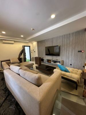 Newly Renovated, Tastefully Furnished 1-bedroom Apartment with Gym, Banana Island, Ikoyi, Lagos, Flat / Apartment for Rent