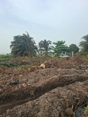 a Plot of Full Plot, Alatise Bus Stop, After Beechwood Estate, Ibeju Lekki, Lagos, Residential Land for Sale