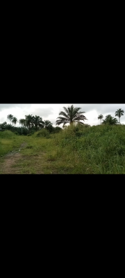 Plots of Land in a Well Planned Estate, Port Harcourt, Rivers, Mixed-use Land for Sale