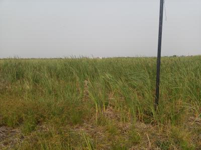 Strategically Located Plots of Land, Lekki Expressway, Sangotedo, Ajah, Lagos, Residential Land for Sale