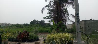 Land, Monastery Road, Sangotedo, Ajah, Lagos, Residential Land for Sale
