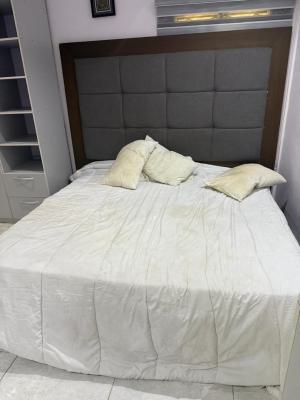 Fully Furnished and Serviced 2bedroom Flat (24hrs Light), Ikate-lekki, Ikate Elegushi, Lekki, Lagos, Flat / Apartment for Rent