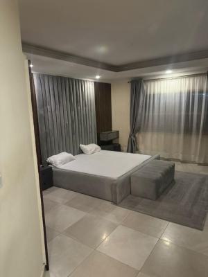 Fully Furnished 2bedroom Self Service Apartment, Chisco Ikate, Ikate, Lekki, Lagos, Flat / Apartment for Rent