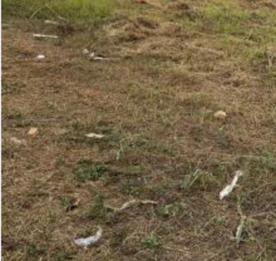 Joint Venture, Raufu Taylor Close, Victoria Island (vi), Lagos, Residential Land Joint Venture