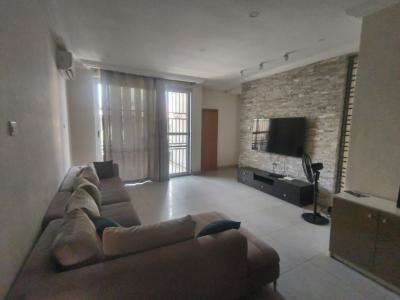 Newly Furnished 3 Bedroom with Bq. Kindly Read The Brief, Spg Road, Lekki, Lagos, Flat / Apartment for Rent