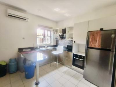 Newly Furnished with B Q, Spg Road, Lekki, Lagos, Flat / Apartment for Rent