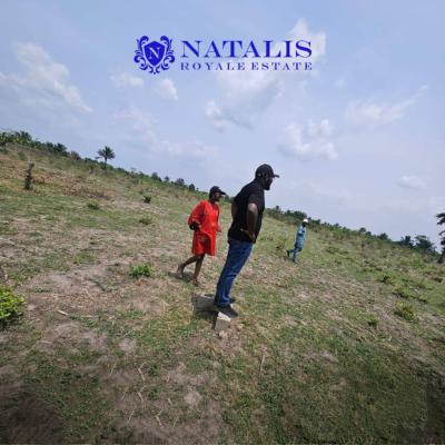 Affordable Land with Registered Survey, Natalis Royale Estate Close to Mfm Prayer City and Redemption Camp, Mowe Ofada, Ogun, Residential Land for Sale