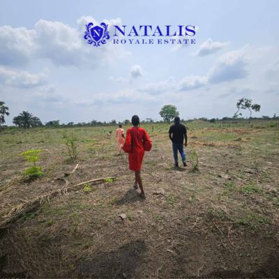 Verified and Secured Land with Registered Survey, Natalis Royale Estate, Mowe Ofada, Ogun, Residential Land for Sale