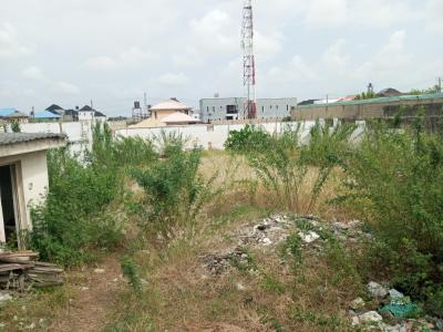 Commercial Land Half Plot Directly Facing The Road, Ado, Ajah, Lagos, Commercial Land for Rent