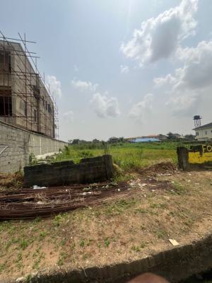 1200sqm of Land Totaling to 2 Plot, Gra Phase 2, Magodo, Lagos, Residential Land for Sale
